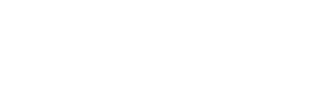 Logo TDC